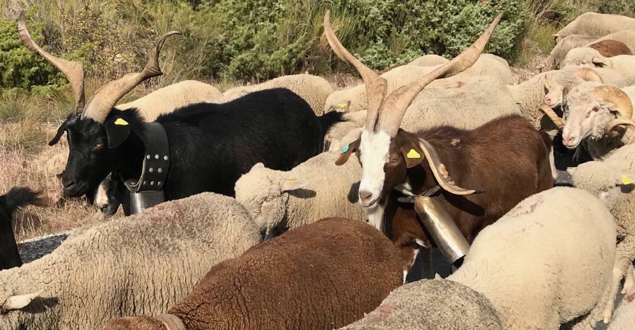 La Rabasse De Gallinette Aups Zewnętrze zdjęcie